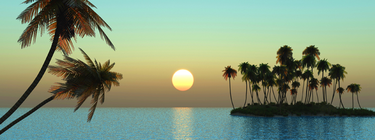Travel_palmtreesOnbeach
